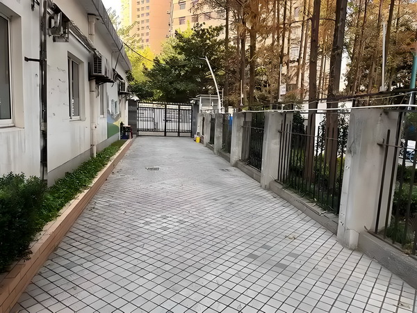 2025暑期档大盘票房连续10天破亿
